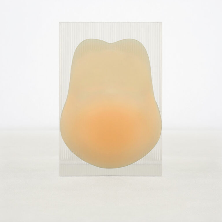 Breast-Petals-Nipple-Stick-Covers-for-Large-Breasts-Big-Boobs-No-Bra-1