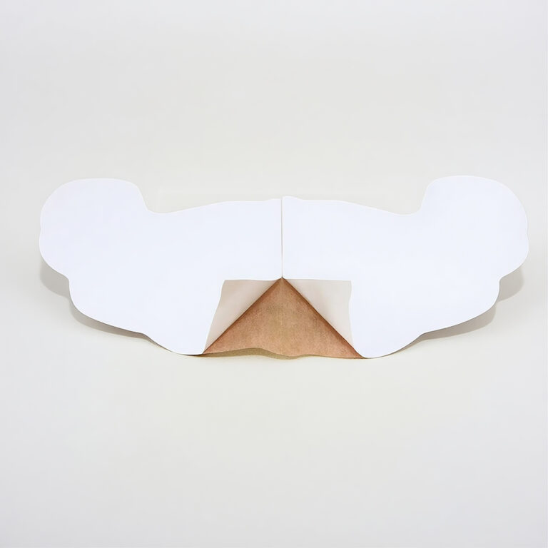 Nipple-Breast-Sticker-Boobs-Cover-Nipple-Sticker-Big-Boob-Cups-Breast-Nipple-Sticker-3-1