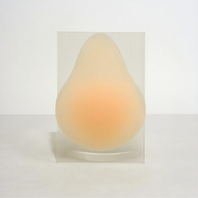 Best-Nipple-Covers-With-Lift-Amazing-Drop-Water-Nipple-Bra-Lingerie-1-2